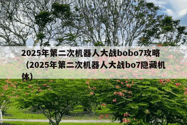 2025年第二次机器人大战bobo7攻略（2025年第二次机器人大战bo7隐藏机体）