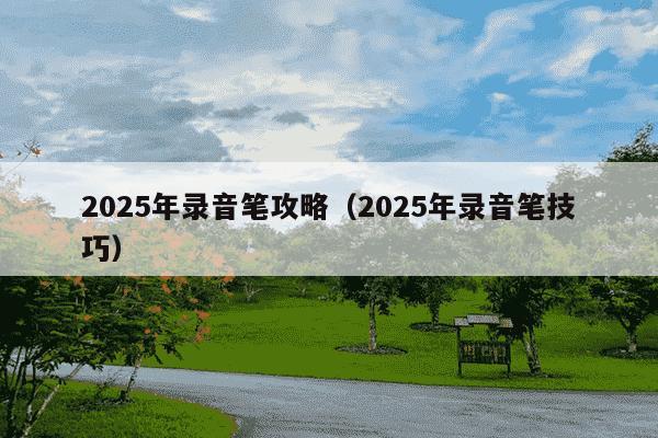 2025年录音笔攻略(2025年录音笔技巧)