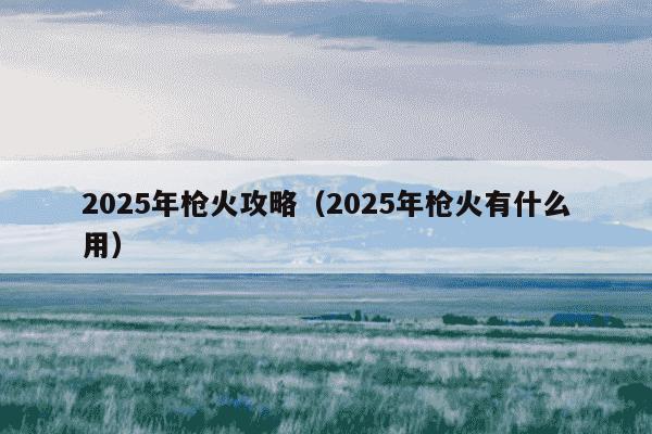 2025年枪火攻略（2025年枪火有什么用）