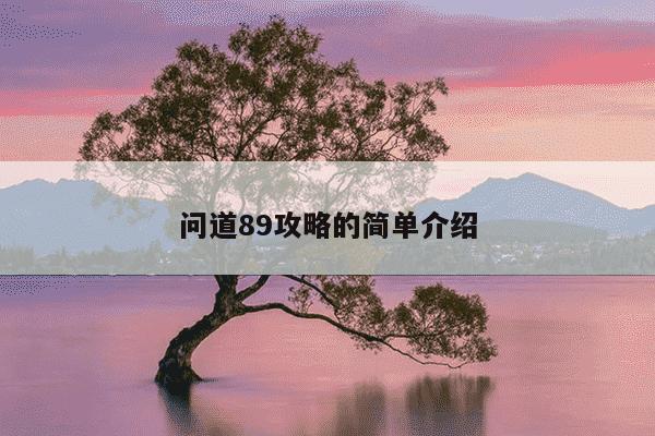 问道89攻略的简单介绍