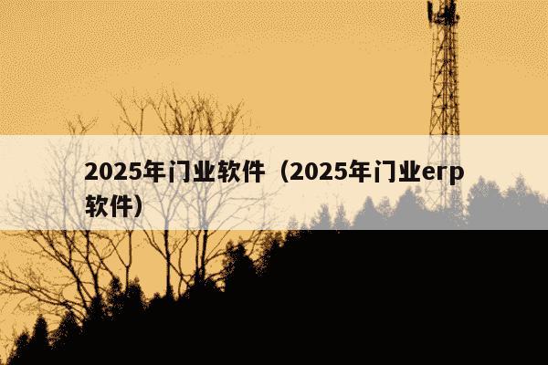 2025年门业软件(2025年门业erp软件)