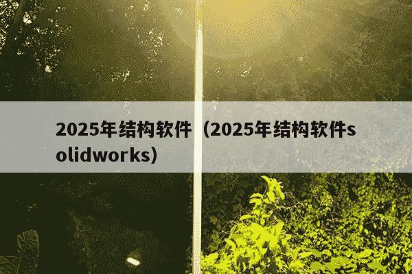 2025年结构软件（2025年结构软件solidworks）
