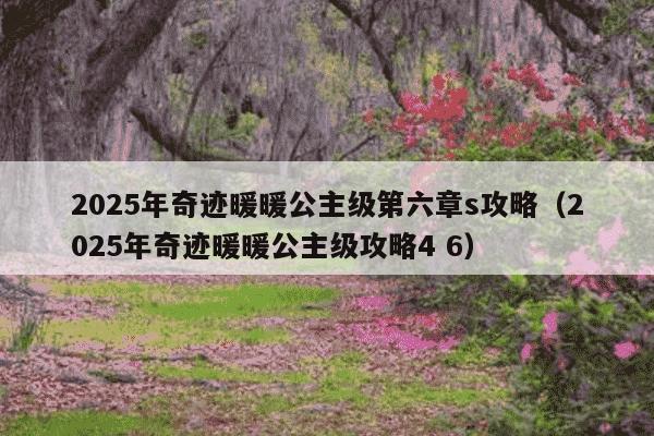 2025年奇迹暖暖公主级第六章s攻略(2025年奇迹暖暖公主级攻略4 6)