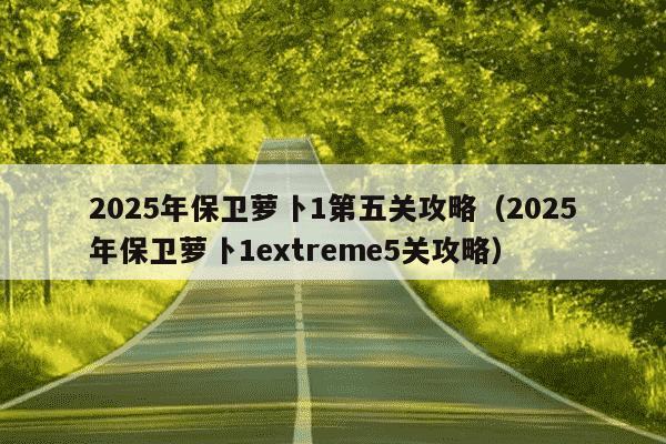2025年保卫萝卜1第五关攻略(2025年保卫萝卜1extreme5关攻略)