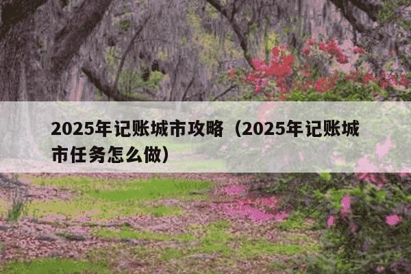 2025年记账城市攻略(2025年记账城市任务怎么做)