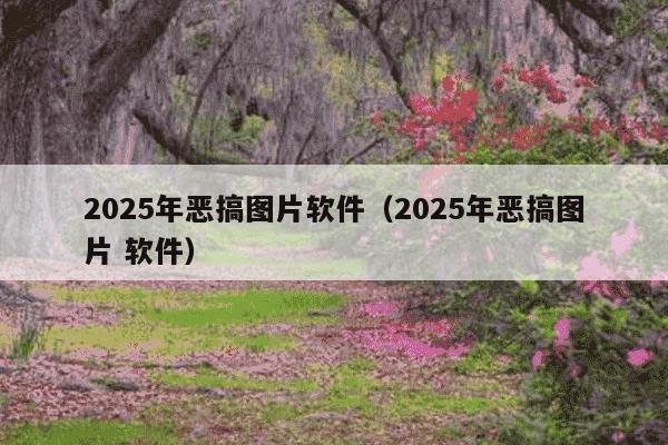 2025年恶搞图片软件(2025年恶搞图片 软件)