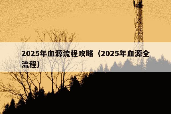 2025年血源流程攻略（2025年血源全流程）