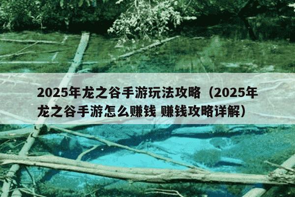 2025年龙之谷手游玩法攻略（2025年龙之谷手游怎么赚钱 赚钱攻略详解）