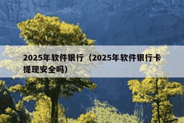 2025年软件银行(2025年软件银行卡提现安全吗)