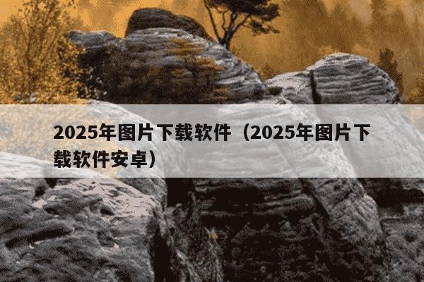 2025年图片下载软件（2025年图片下载软件安卓）