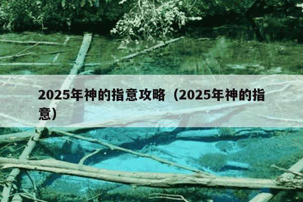 2025年神的指意攻略(2025年神的指意)