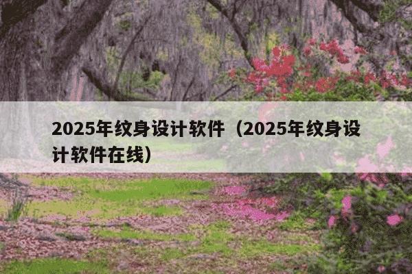 2025年纹身设计软件(2025年纹身设计软件在线)