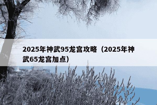 2025年神武95龙宫攻略（2025年神武65龙宫加点）