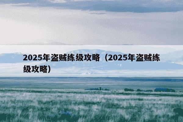 2025年盗贼练级攻略（2025年盗贼练级攻略）
