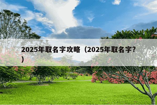 2025年取名字攻略(2025年取名字?)