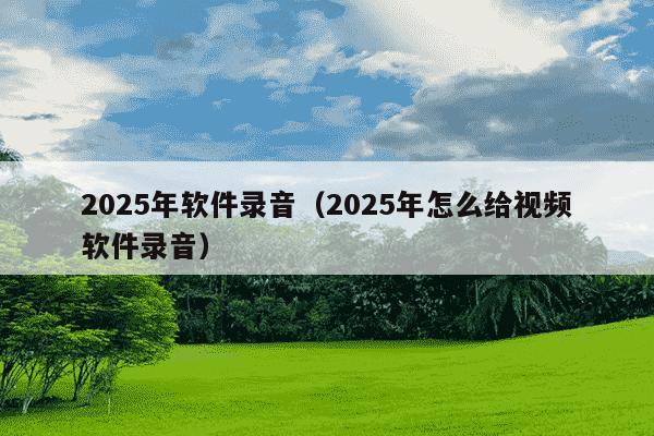 2025年软件录音(2025年怎么给视频软件录音)