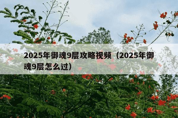 2025年御魂9层攻略视频（2025年御魂9层怎么过）