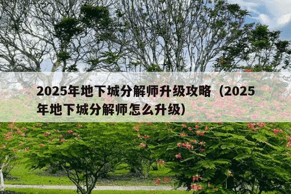 2025年地下城分解师升级攻略(2025年地下城分解师怎么升级)
