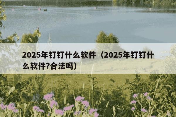 2025年钉钉什么软件(2025年钉钉什么软件?合法吗)