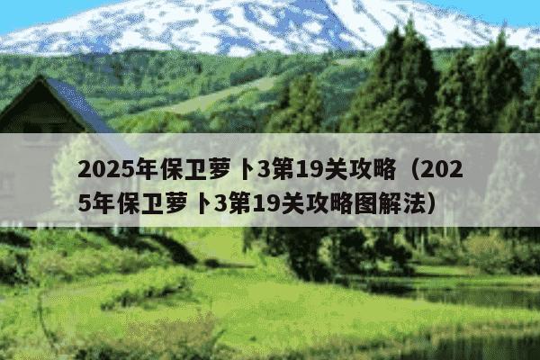 2025年保卫萝卜3第19关攻略（2025年保卫萝卜3第19关攻略图解法）