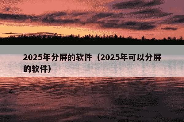 2025年分屏的软件（2025年可以分屏的软件）