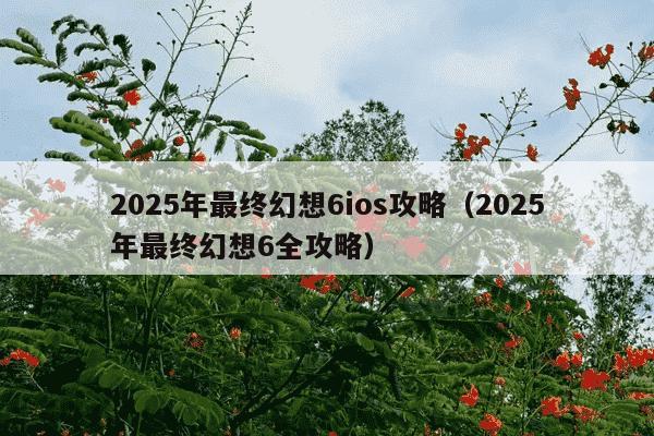 2025年最终幻想6ios攻略(2025年最终幻想6全攻略)