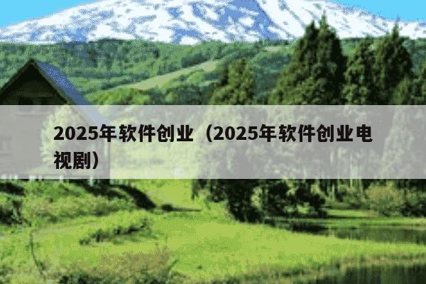 2025年软件创业（2025年软件创业电视剧）