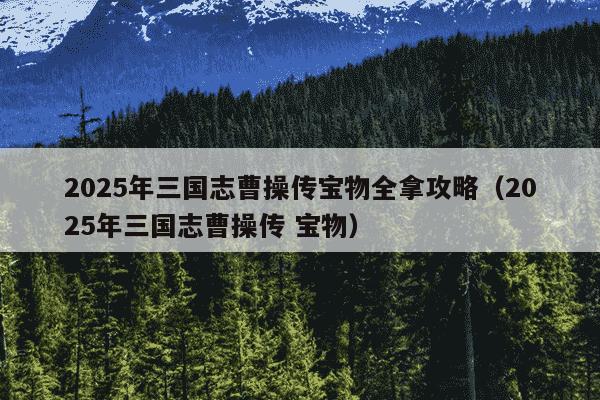 2025年三国志曹操传宝物全拿攻略（2025年三国志曹操传 宝物）