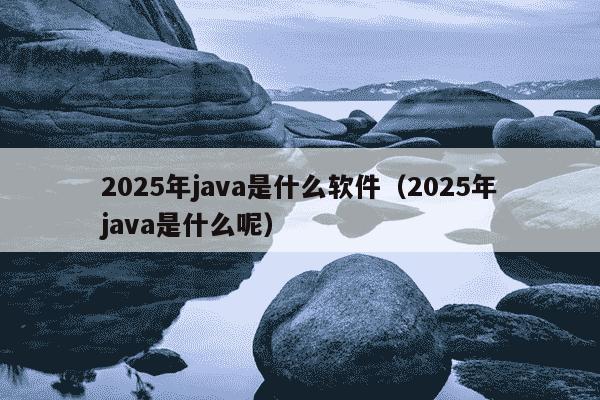 2025年java是什么软件（2025年java是什么呢）