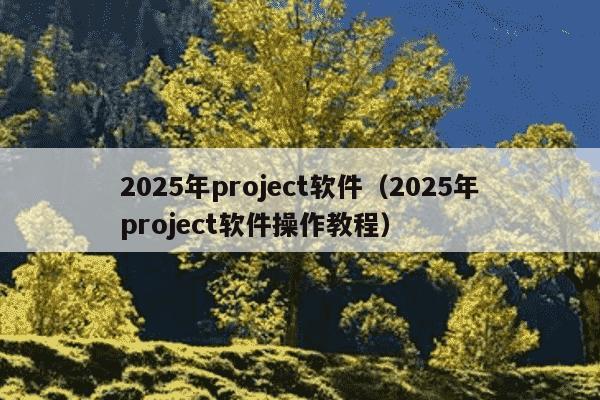 2025年project软件（2025年project软件操作教程）