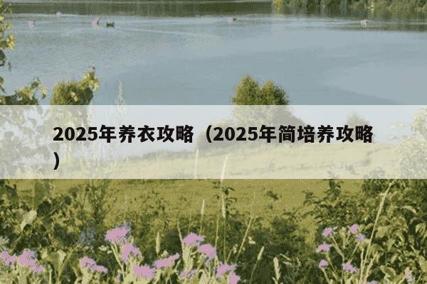 2025年养衣攻略(2025年简培养攻略)