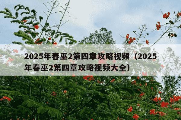 2025年春巫2第四章攻略视频(2025年春巫2第四章攻略视频大全)