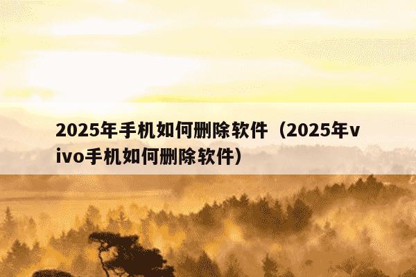 2025年手机如何删除软件(2025年vivo手机如何删除软件)