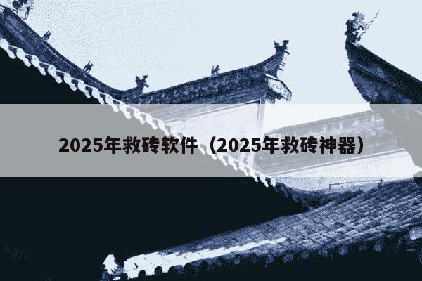 2025年救砖软件(2025年救砖神器)