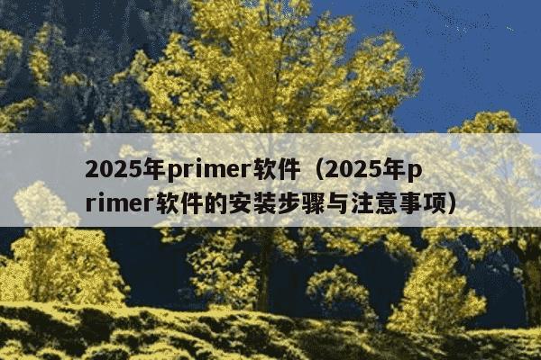 2025年primer软件(2025年primer软件的安装步骤与注意事项)