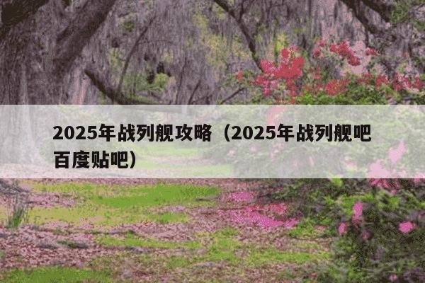 2025年战列舰攻略(2025年战列舰吧百度贴吧)