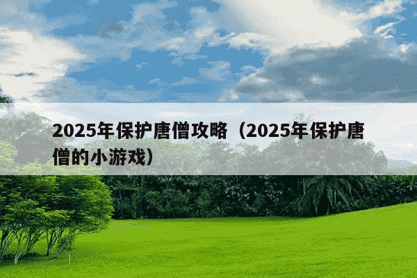 2025年保护唐僧攻略(2025年保护唐僧的小游戏)