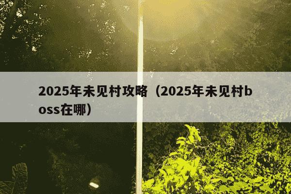 2025年未见村攻略(2025年未见村boss在哪)