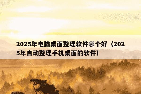 2025年电脑桌面整理软件哪个好(2025年自动整理手机桌面的软件)