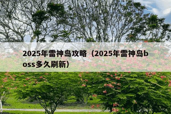 2025年雷神岛攻略（2025年雷神岛boss多久刷新）