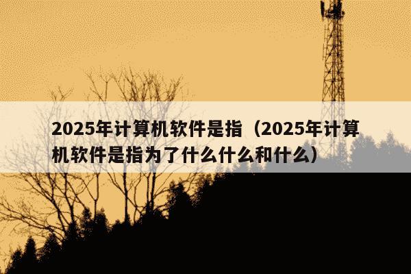2025年计算机软件是指(2025年计算机软件是指为了什么什么和什么)