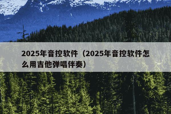 2025年音控软件(2025年音控软件怎么用吉他弹唱伴奏)