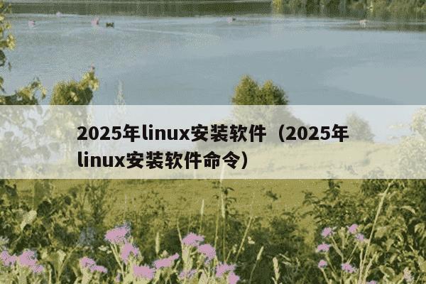 2025年linux安装软件（2025年linux安装软件命令）