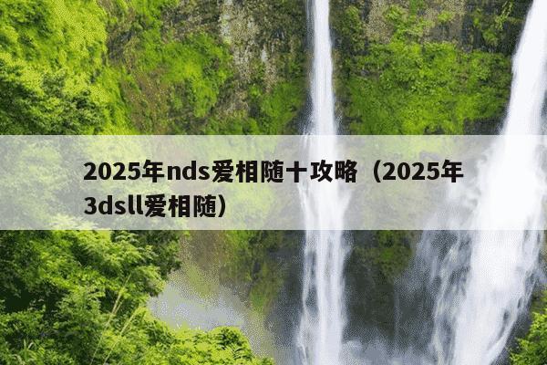 2025年nds爱相随十攻略（2025年3dsll爱相随）
