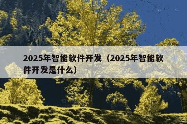 2025年智能软件开发（2025年智能软件开发是什么）