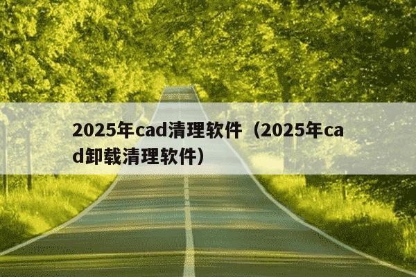2025年cad清理软件（2025年cad卸载清理软件）