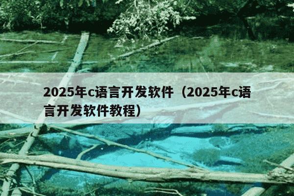 2025年c语言开发软件(2025年c语言开发软件教程)