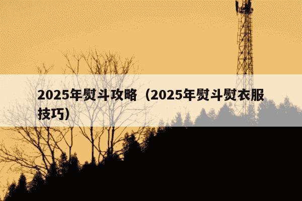 2025年熨斗攻略（2025年熨斗熨衣服技巧）