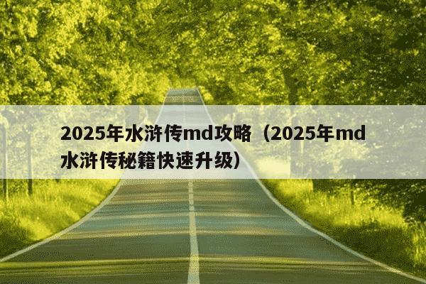 2025年水浒传md攻略（2025年md水浒传秘籍快速升级）