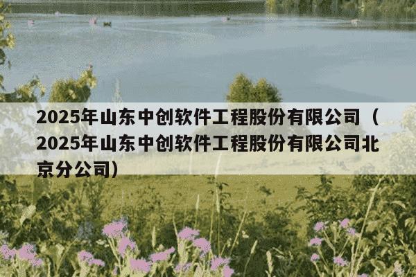 2025年山东中创软件工程股份有限公司(2025年山东中创软件工程股份有限公司北京分公司)